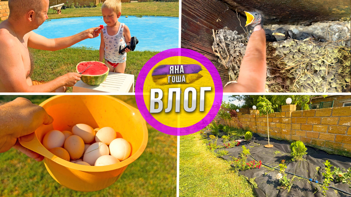 Видео из Крыма