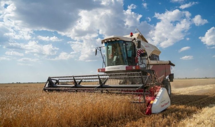    Фото: Комитет сельского хозяйства Волгоградской области