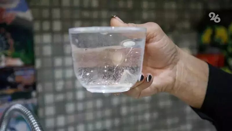      Фото: ИА «Победа26»