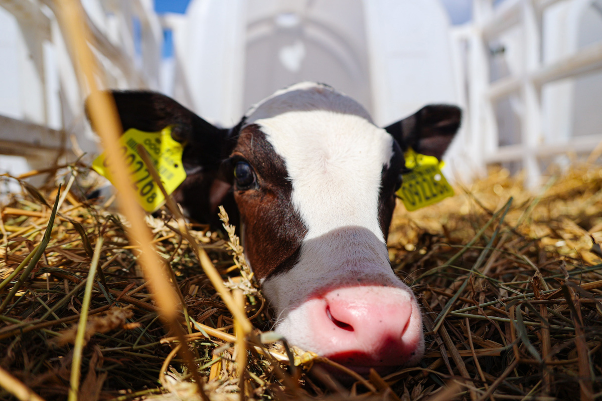    Изображение носит иллюстративный характер. Фото: Tochka.by