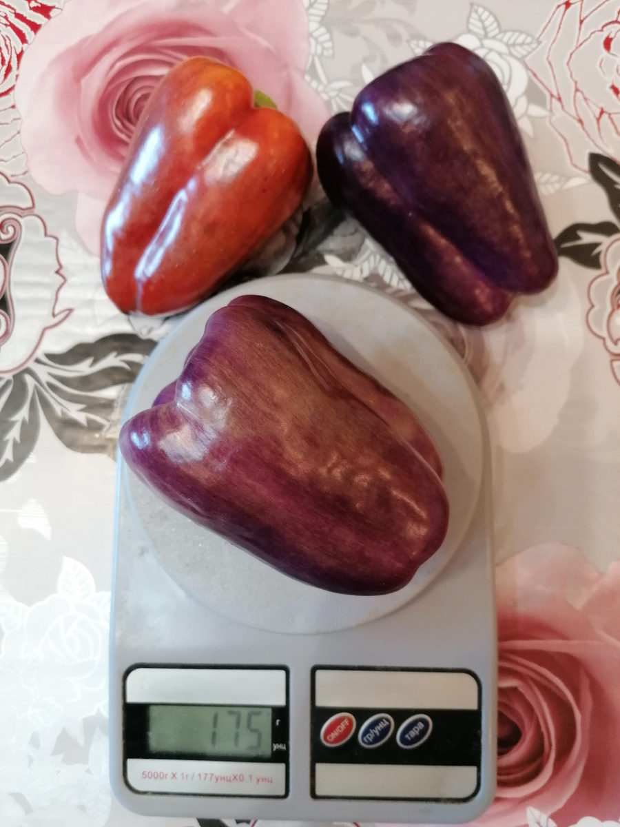 перец Текила