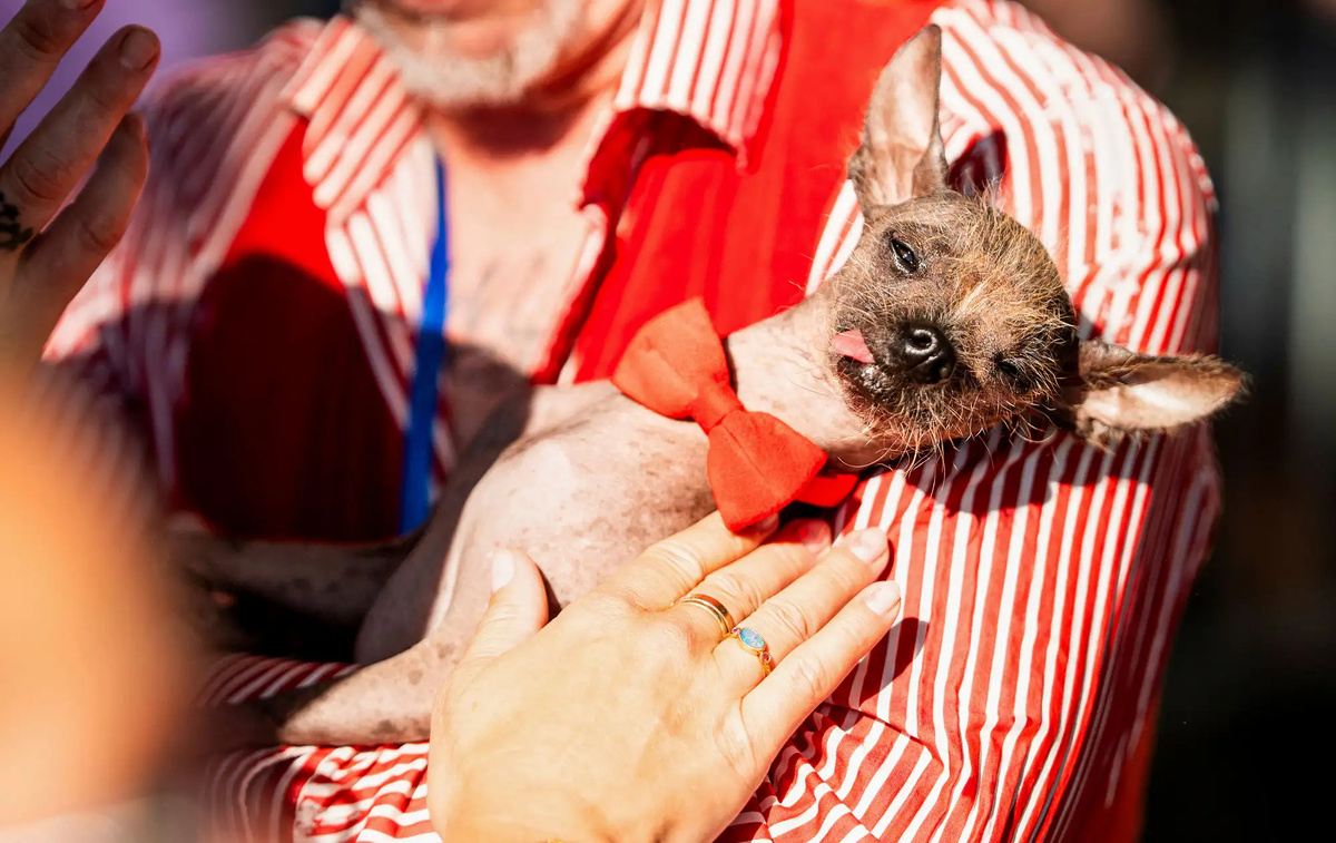    Noah Berger/Associated Press