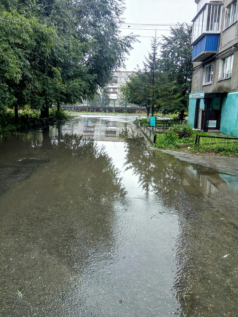 Тот самый магазин "Ветпрактики" и знаменитая лужа возле него.