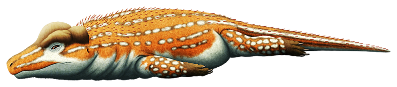 Триоптик. Иллюстрация в формате ПНГ.