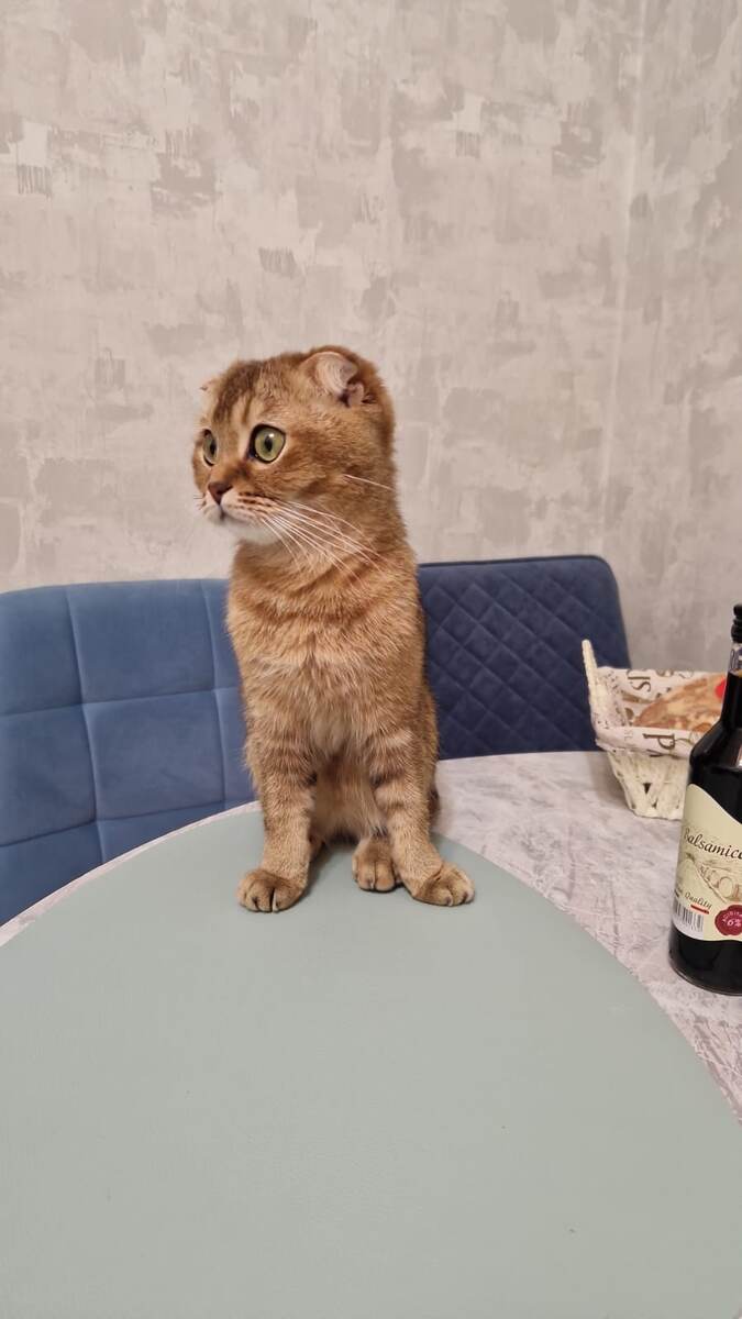 Из личного архива