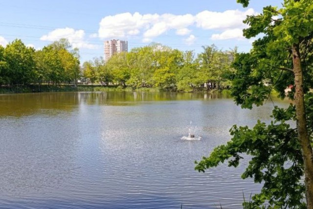   Фото из архива Калининград.Ru