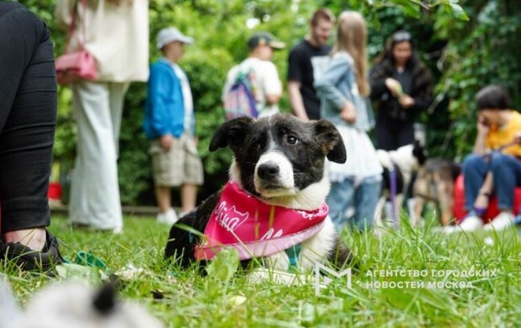 Фото: Авилов Александр/АГН Москва