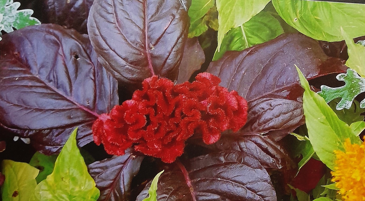 Фото автора канала