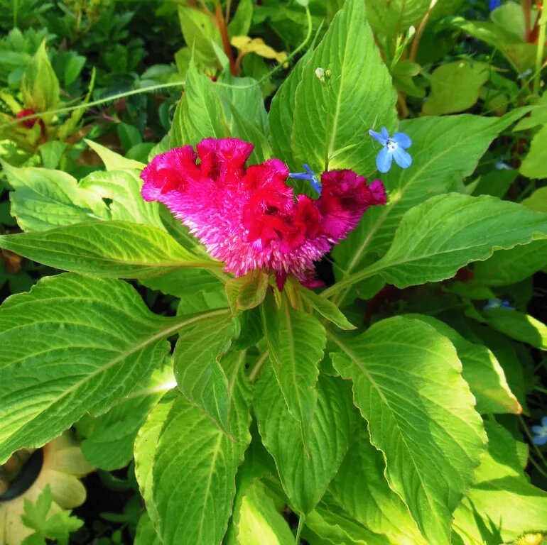 Фото автора канала