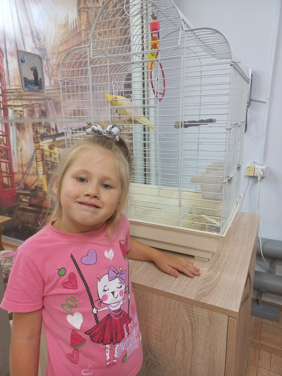 Живой уголок в школе английского языка. Ну и крикливый же желторотик🤭🤭🤭