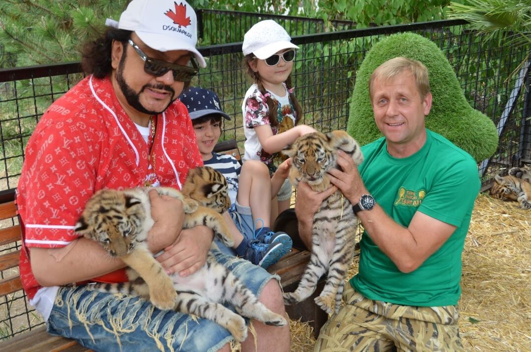 Забавные львята.Из интернета.