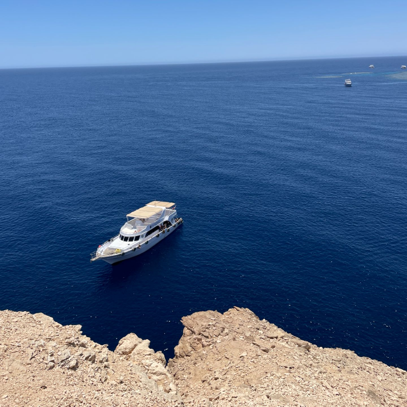 Итак 850 кв.километров! – это водная часть заповедника. 