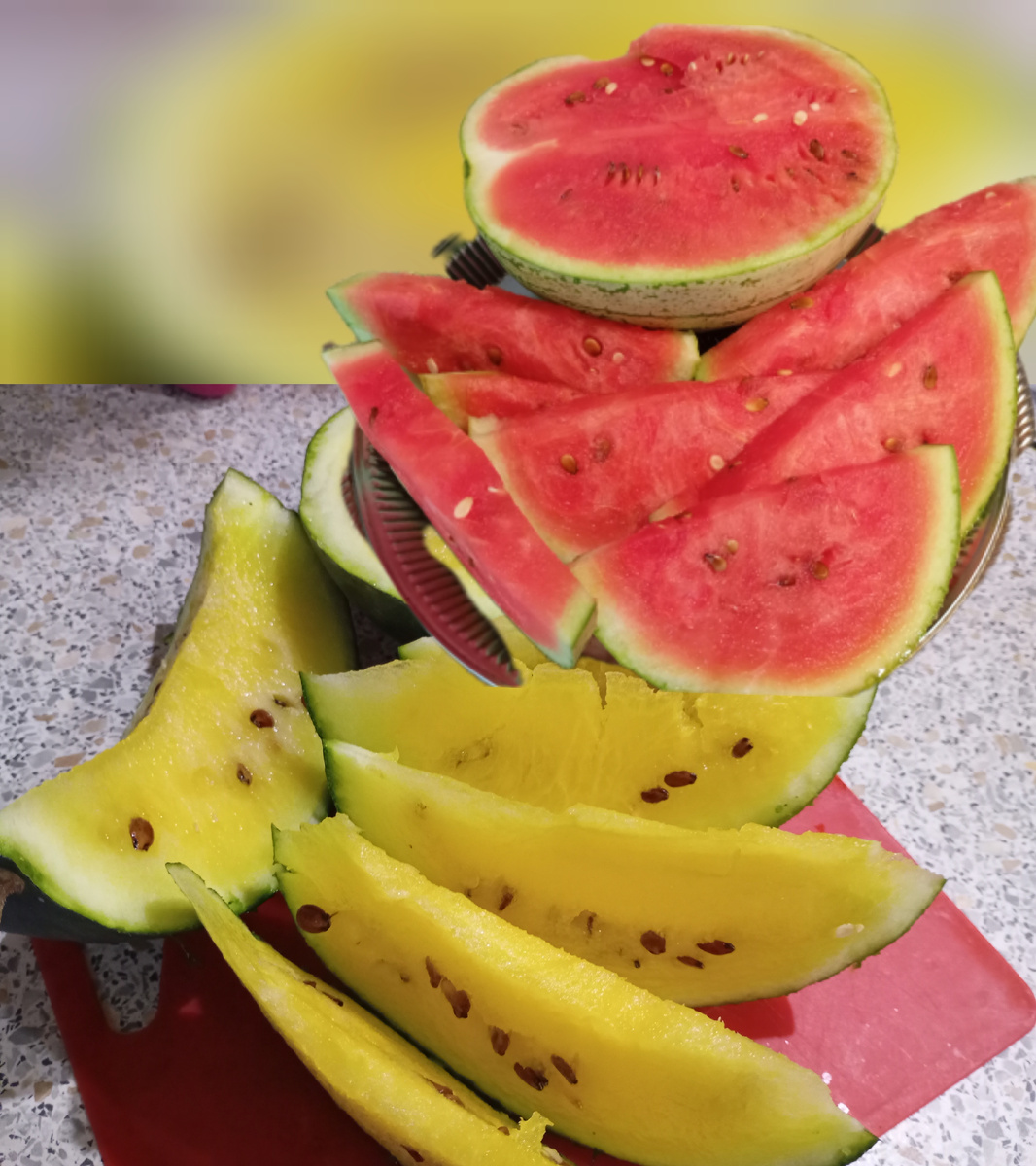 Арбузы на Урале фото автора.