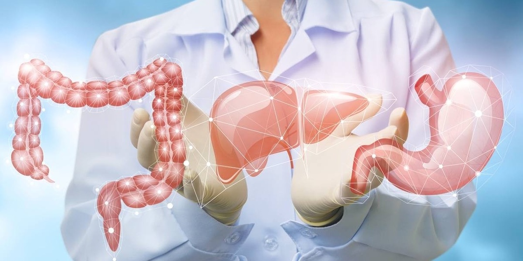 Заболевания органов пищеварения: 7 неожиданных фактов, которые нужно знать каждому