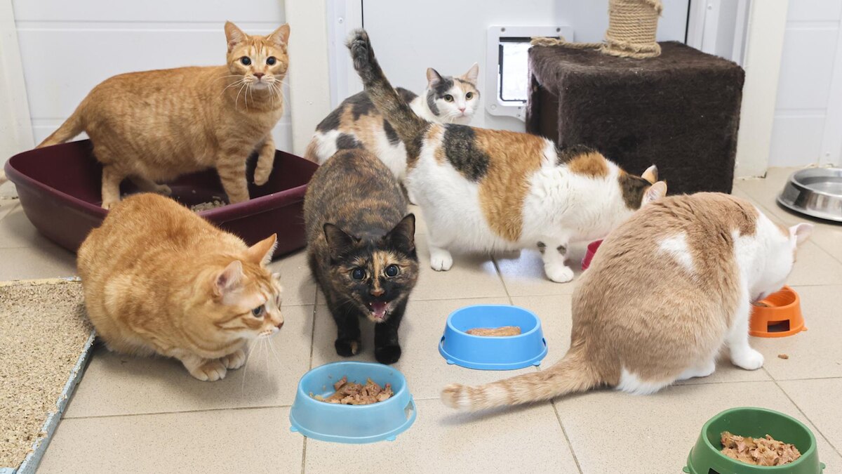    Фото: Belkin Alexey/news.ru