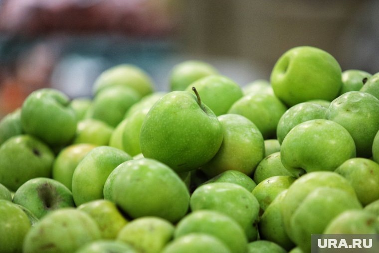    На срок хранения яблок влияют условия, предварительная подготовка и правильный выбор сорта