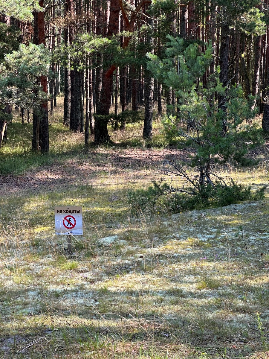 Запрет передвижения вне деревянных настилов есть на любой локации.