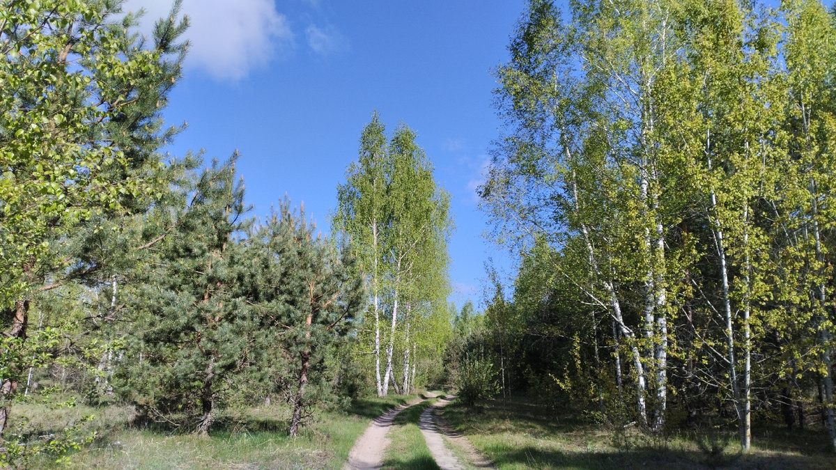 Фото Татьяны Руденко,Брянская обл