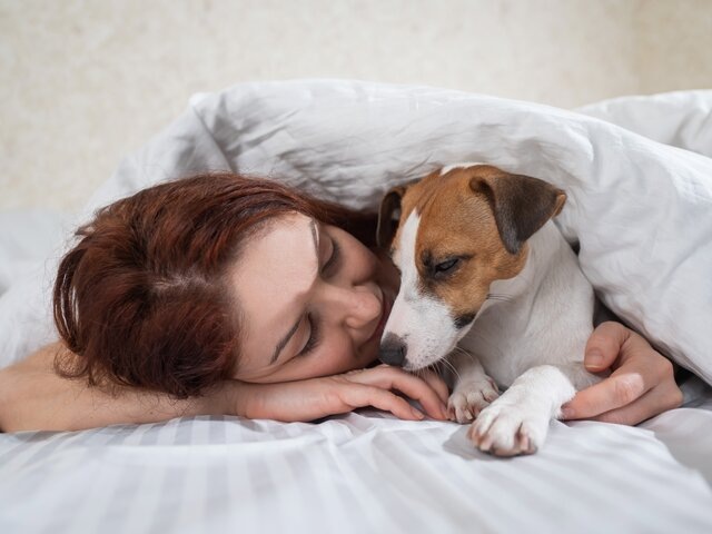    Фото: 123RF/mrwed54