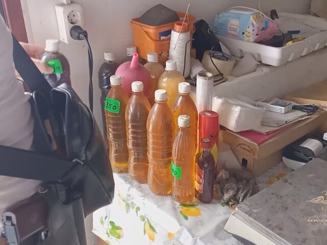    Фото: телеграм-канал "Ирина Волк"