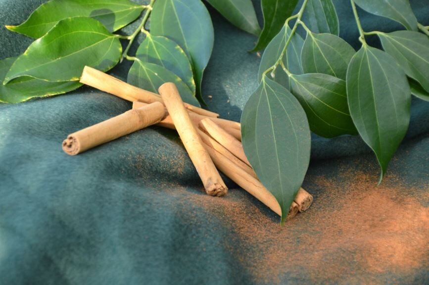 Корица для сада