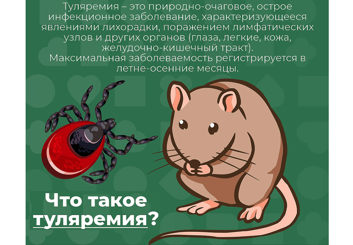 Изображение из интернета