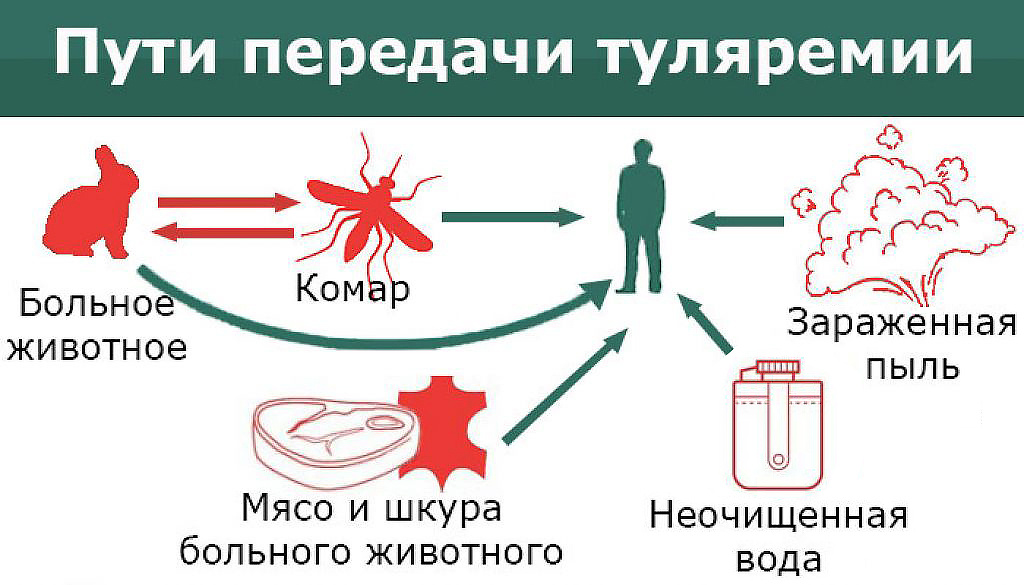 Изображение из интернета