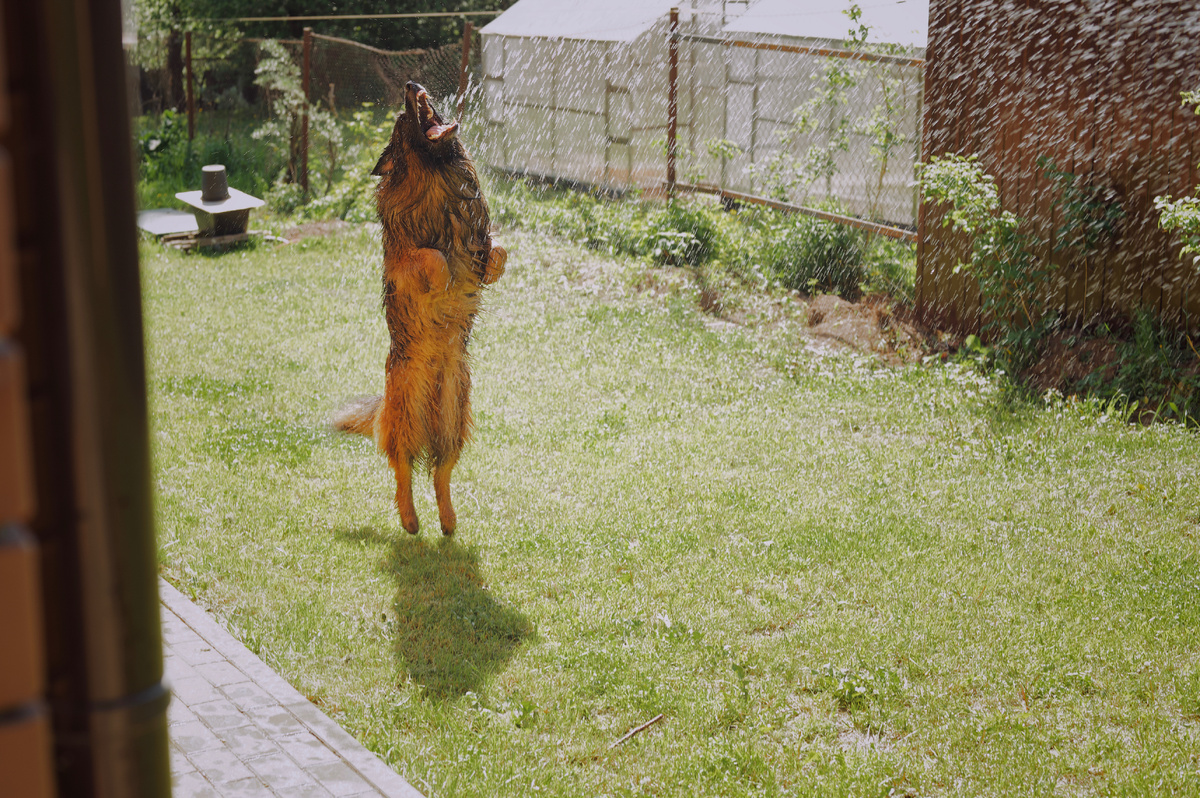 Картина маслом: Локи и вода из шланга