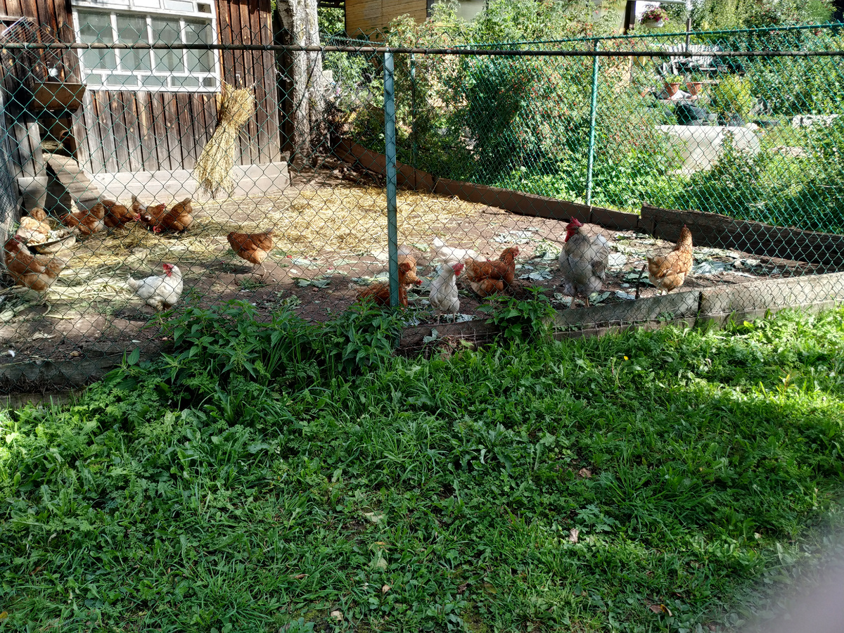 Личное фото.