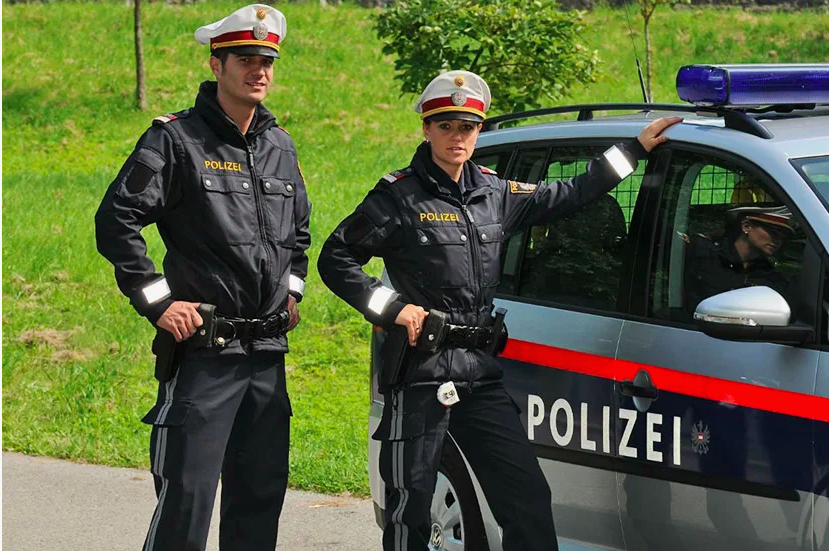 фото из интернета.