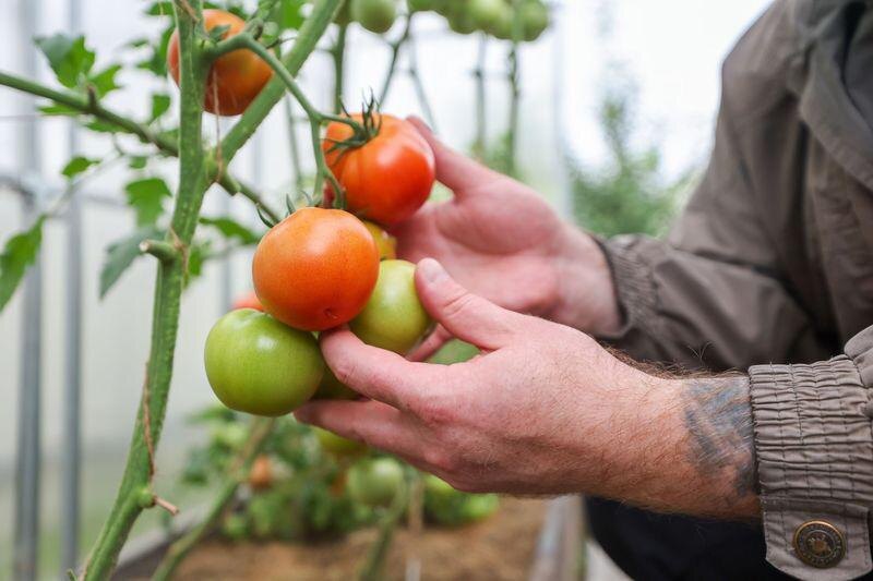    Алексей Белкин/NEWS.ru