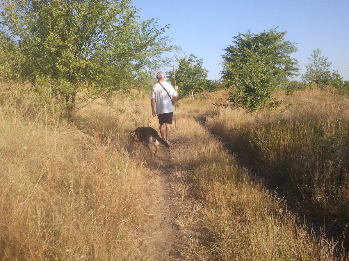 Фото автора