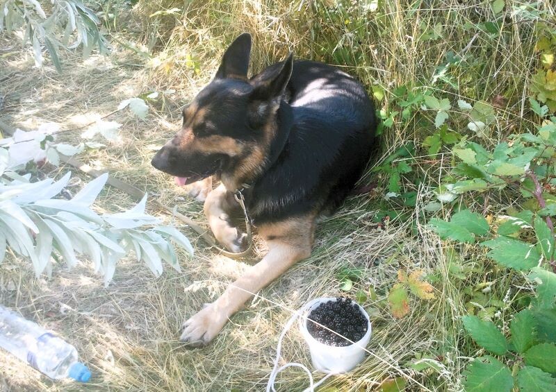 Фото автора