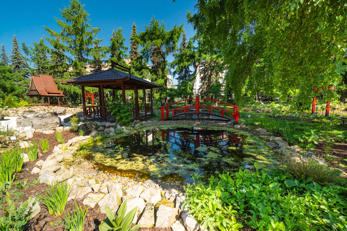 Ботанический сад ПГУ (Пермь). Фото из Яндекс.Картинки