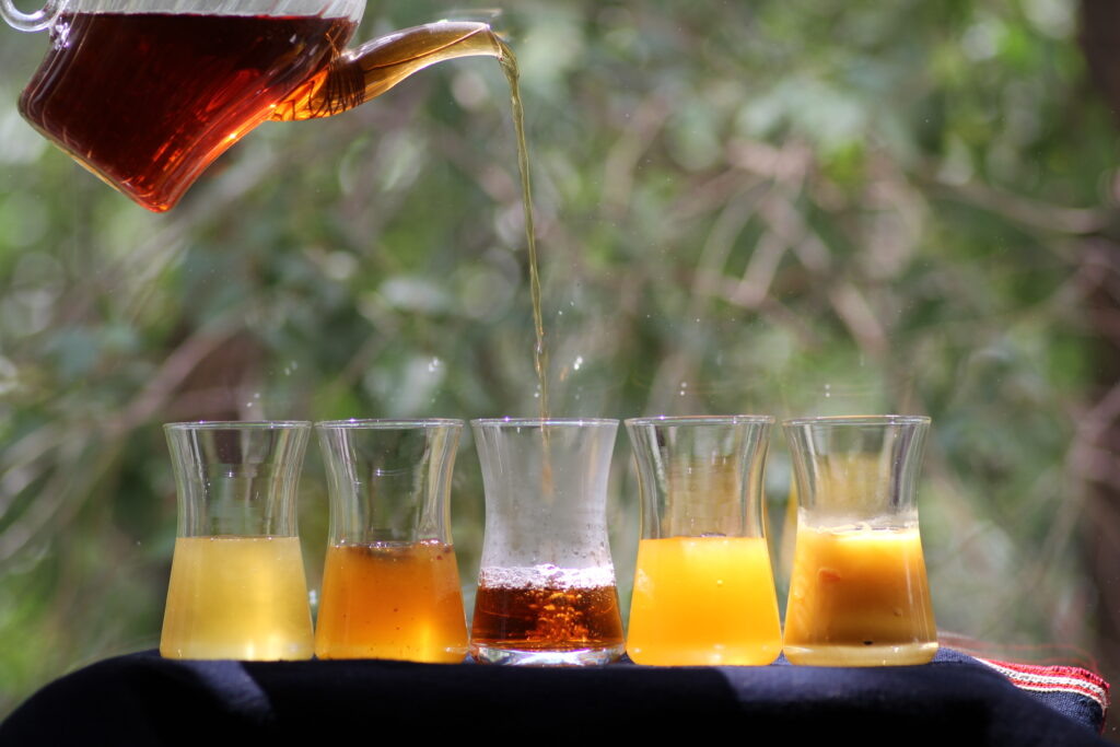 Чистый мед, мед с пергой, шу-пуэр, мед с облепихой и мед с пыльцой. Фотография Ольги Никандровой