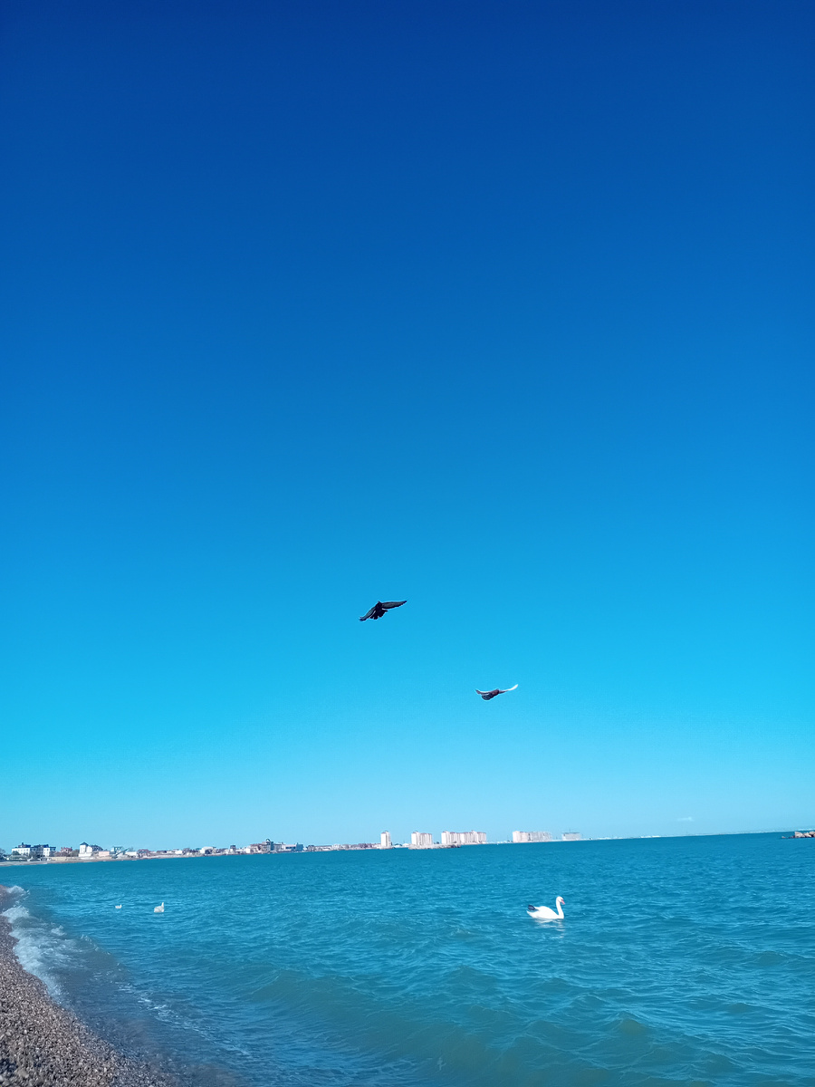 Авторское фото.