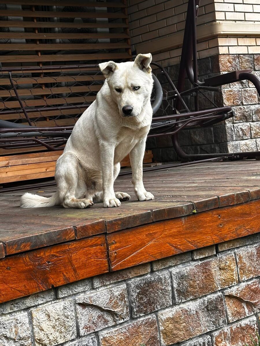 Вот и моя очередь пришла. Не думал, что окажусь в таком положении...