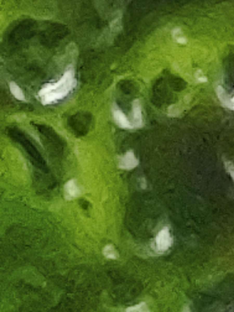 фото сына автора канала