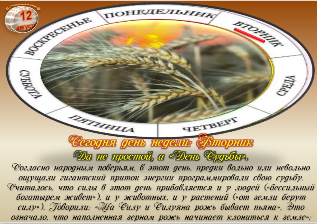 Встречаем новый день