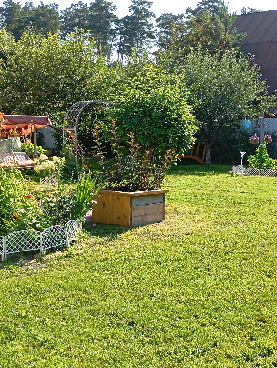 Немного и нас солнышко поьаловало