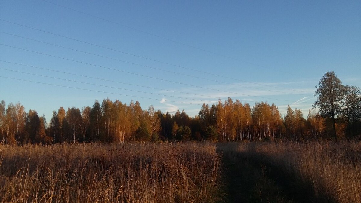Дорога через поле к месту тусовки подростков