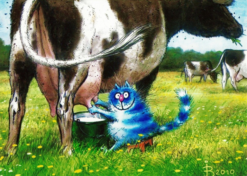 Очаровательный котик Рины Зенюк