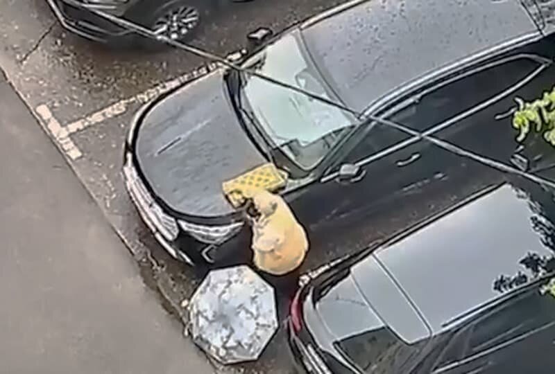    Пенсионерка-смертница