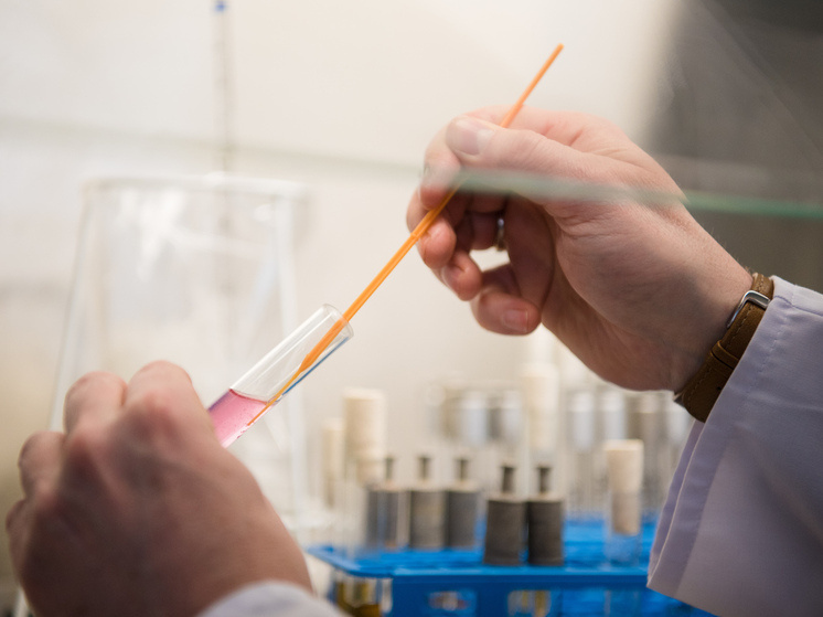     © Nicolas Armer/ dpa/Global Look Press