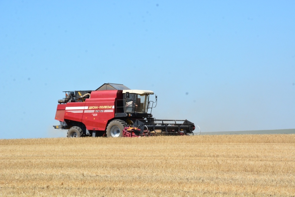   Фото: Е. Антонова. Елена Антонова