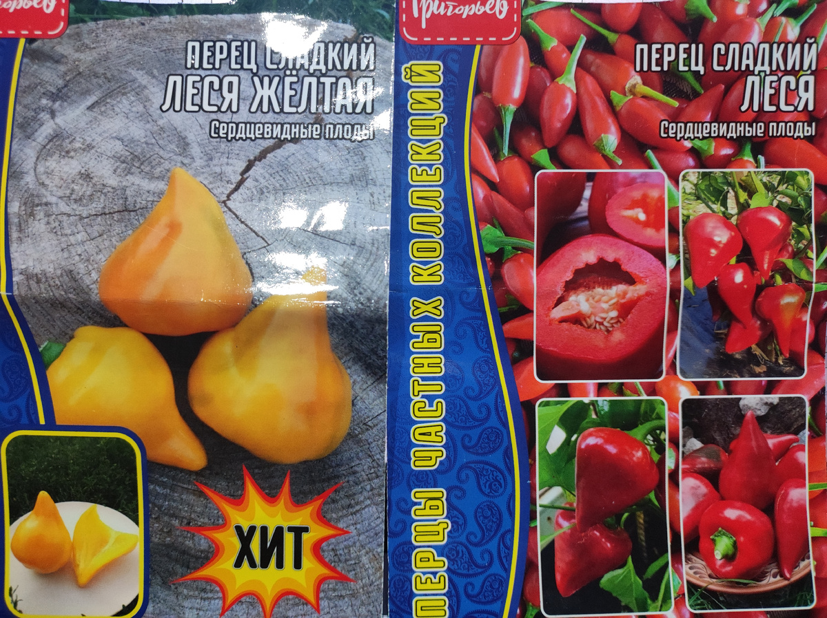 Фото автора, семена сладкого перца сорта Леся желтая и красная от агрофирмы Григорьев, август 2025 года