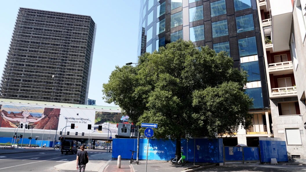    фото: ©DuilioPiaggesi/Globallookpress.сom