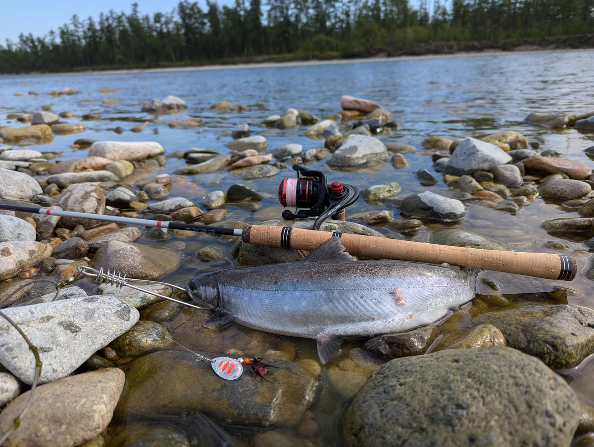 Спиннинг и катушка "MICRO GAME" от ТМ"Волжанка"