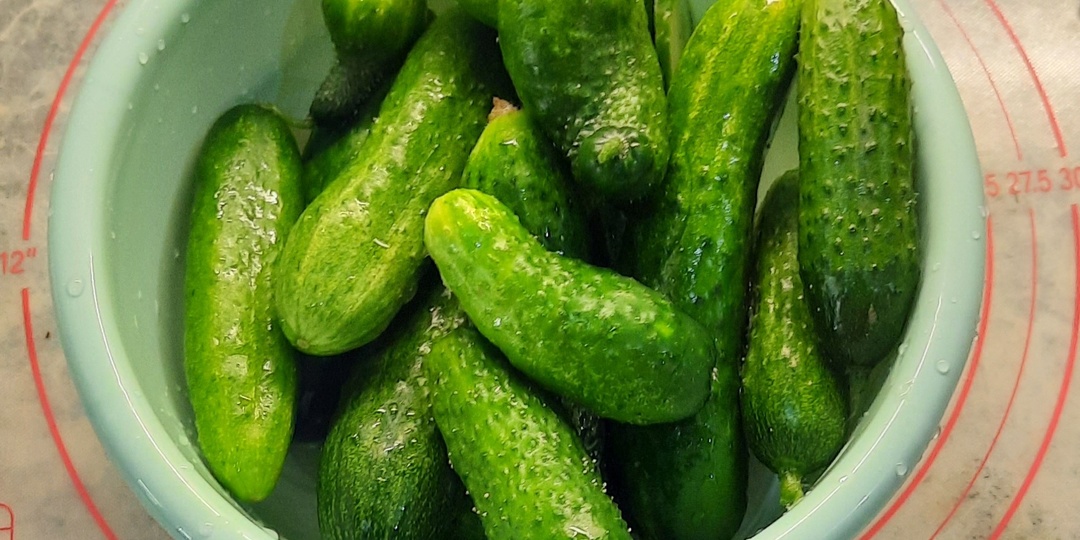 Вкусные огурцы на зиму Как можно вкусно закатать огурцы на зиму