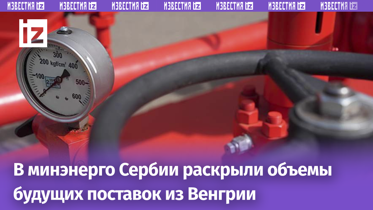 Фото: ИЗВЕСТИЯ/Дмитрий Коротаев